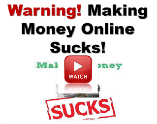 Warning : Making Money Online Sucks !