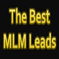The Best MLM Leads