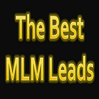 The Best MLM Leads The Best MLM Leads